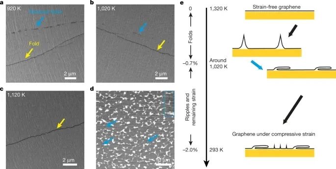 Nature：单晶、大面积、无褶皱单层石墨烯