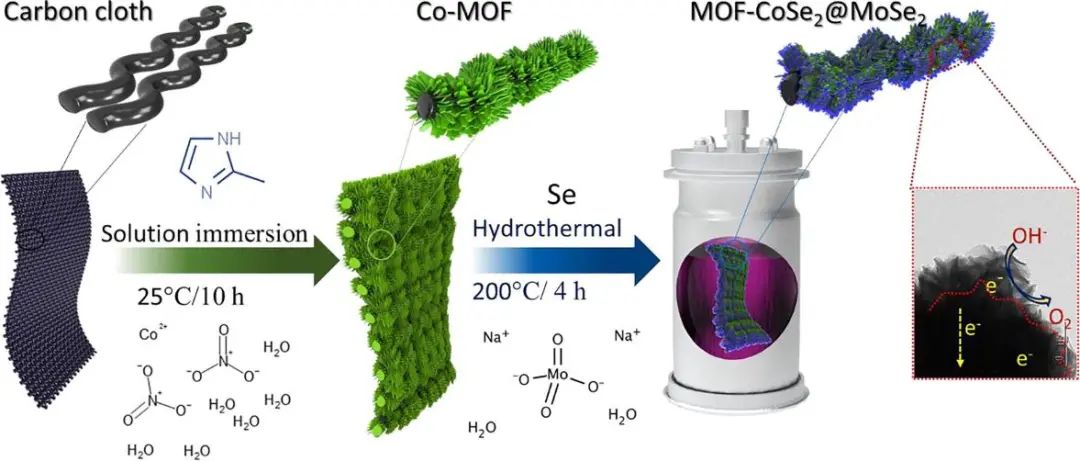 催化顶刊集锦：AFM、Appl. Catal. B.、Small、EnSM、Chem. Eng. J.等最新成果