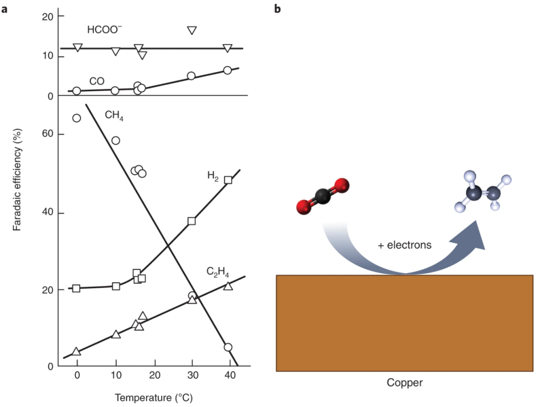 美女科学家Nature Catalysis：铜，我的宝！