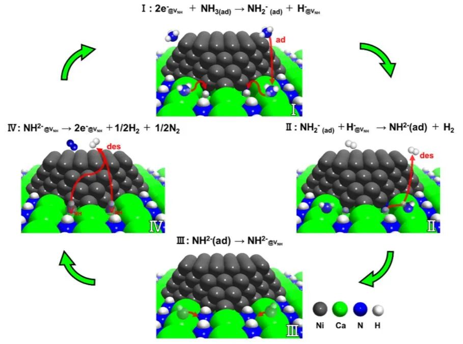 ACS Catalysis：Ni/CaNH催化剂通过NH2-介导的Mars-van Krevelen机制进行高效氨分解