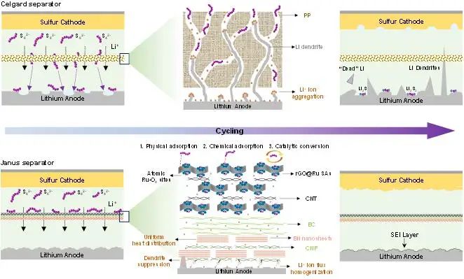 北大郭少军AM：功能化隔膜同时解决锂硫电池正负极问题！