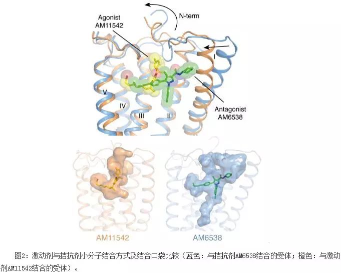 她！再发Science！6年6篇CNS大满贯！读博期间每天工作17小时的，如今已是博导