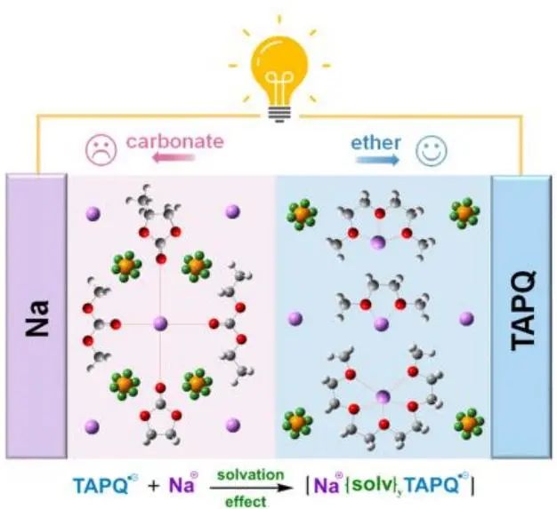 北航张瑜Angew：溶剂化对提高TAPQ钠储存性能的影响