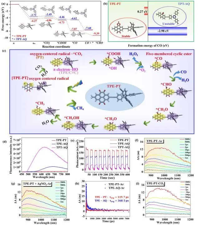 中山大学Angew：提高两个数量级！TPE-PT助力CO2还原为CH4