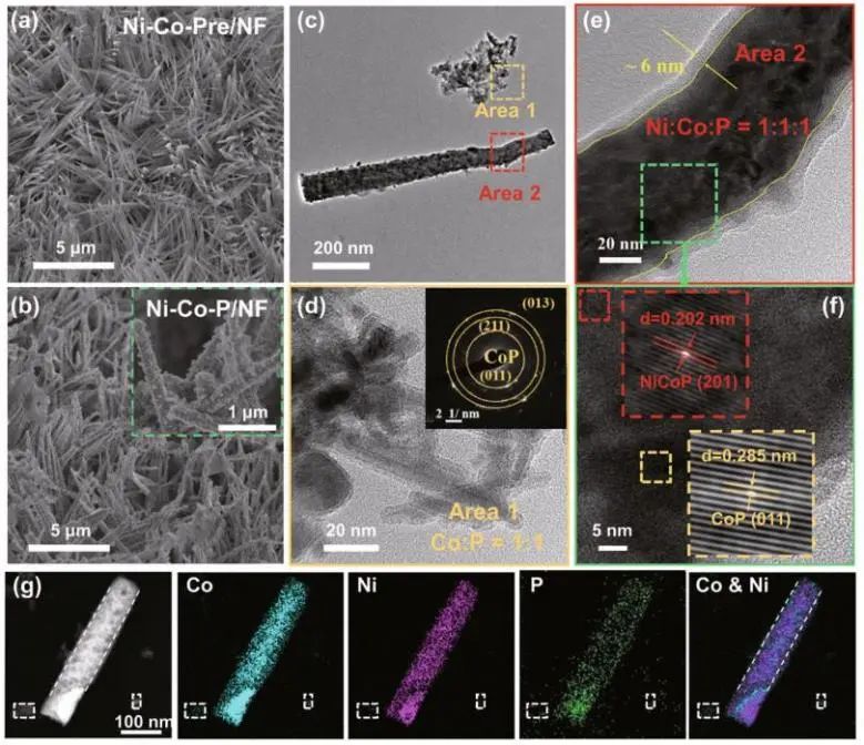 催化顶刊集锦：Nature子刊、Angew.、AEM、ACS Catalysis、Small等成果