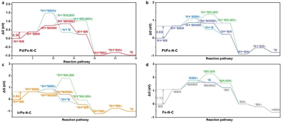 Angew.：通过调节局部氢自由基的活性实现电催化活化/还原N2分子