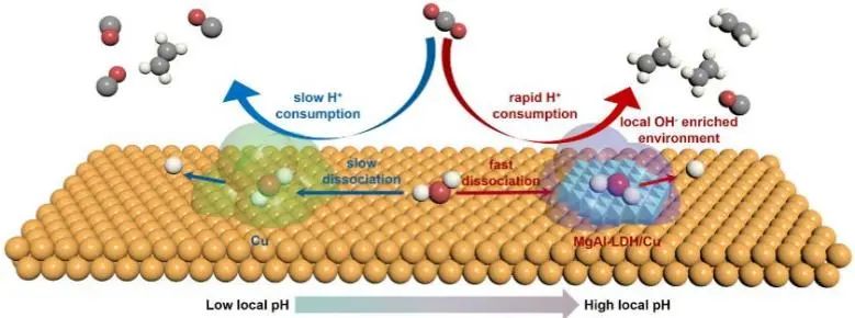 杨化桂/刘鹏飞Angew.：单层MgAl LDH调节反应微环境，促进中性介质CO2电还原为乙烯