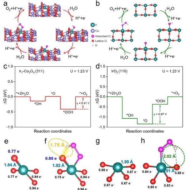 ​中科大ACS Catalysis：尖晶石锚定的Ir单原子通过中间稳定化效应实现高效酸性水氧化