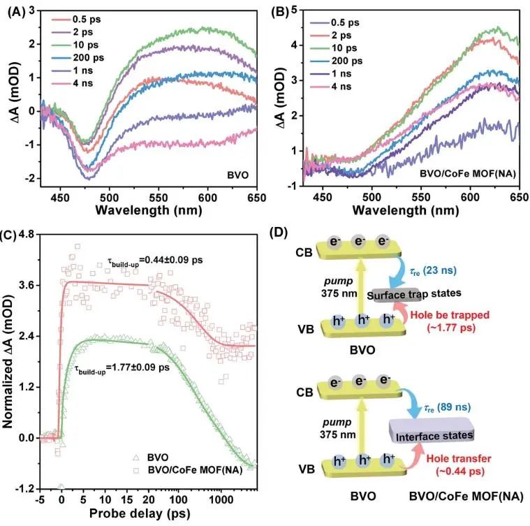 催化顶刊集锦：JACS、Nat. Commun.、AFM、ACS Catal.、Adv. Sci.、Small等