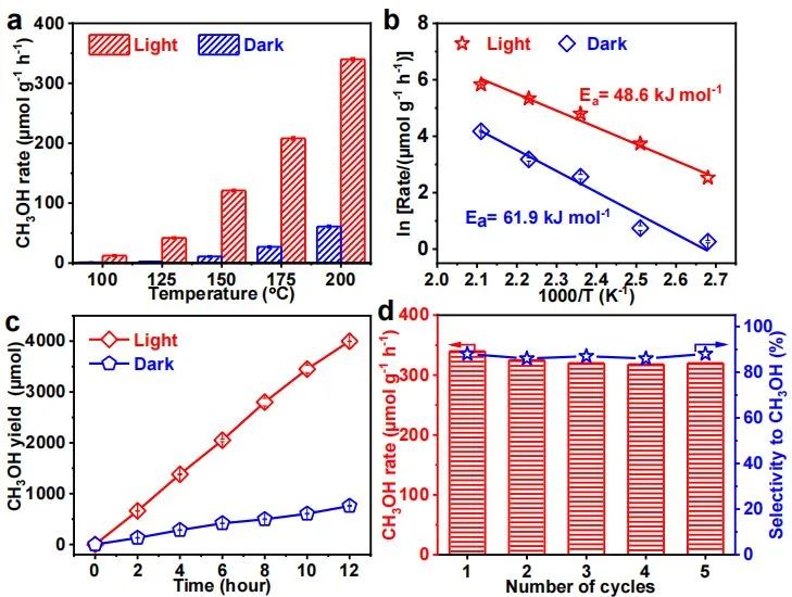 催化日报顶刊集锦：Angew./AFM/Small Methods/NML/ACS Catal./ACB等成果