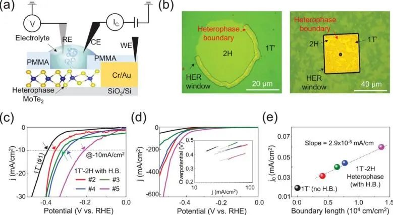 8篇催化顶刊：Angew.、AFM、ACS Catal.、Small、Adv. Sci.等最新成果