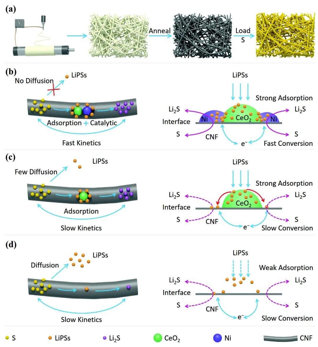 田冰冰/张金勇/敖昕Adv. Sci.：Li-S电池中多硫化物吸附和催化转化之间的平衡