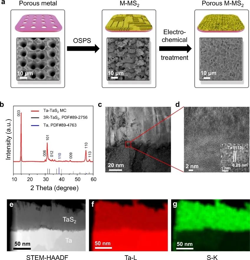 刘碧录&孙成华Nature子刊：超高电流密度下，Ta-TaS2 MC高效HER