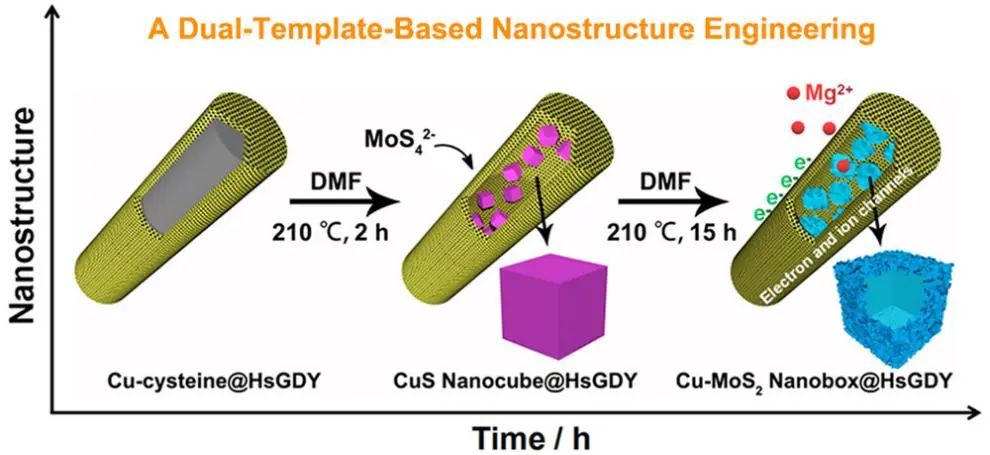 ACS Nano: 用于镁存储的分层纳米胶囊正极