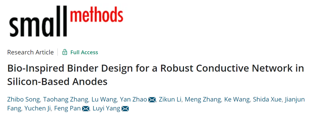 潘锋/杨卢奕/赵岩Small Methods：仿生粘结剂构建硅基负极的稳健导电网络