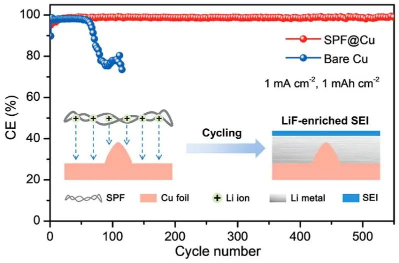 浙工大陶新永Nano Letters：稳定锂金属电池的基于大豆蛋白纤维的人工SEI