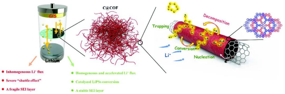 Small：离子选择性COF促进多硫化物催化转化和Li+传输！