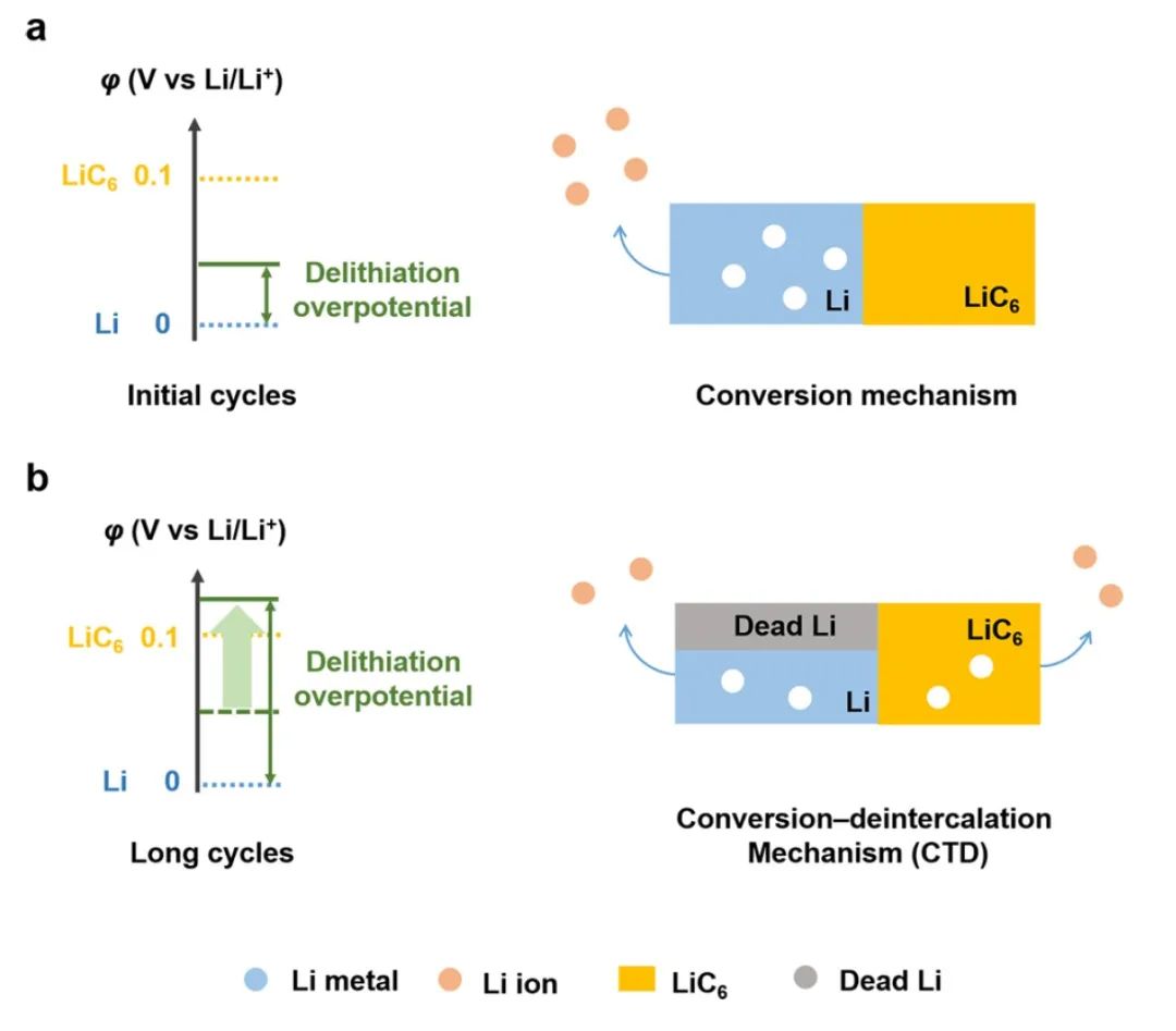清华张强/北理张学强JACS：实用复合锂负极的连续转化-脱嵌脱锂机制