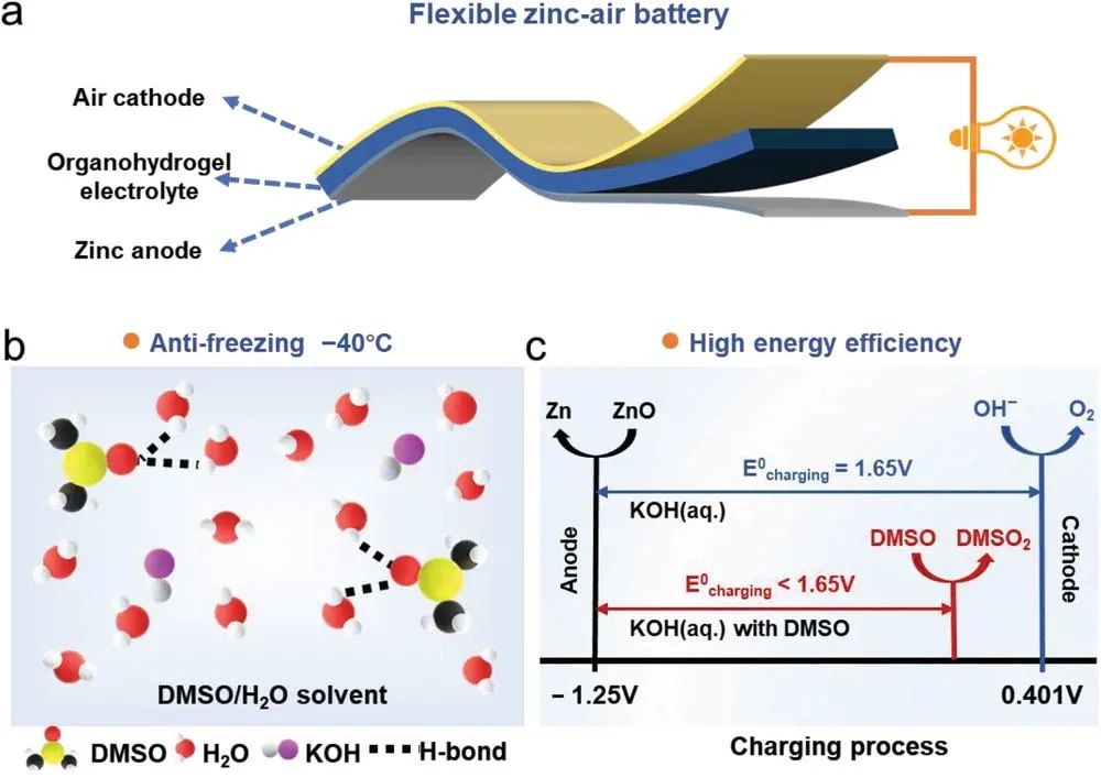 中南李娟/孙晓毅Small Methods：具有高能效和抗冻性的柔性锌空气电池