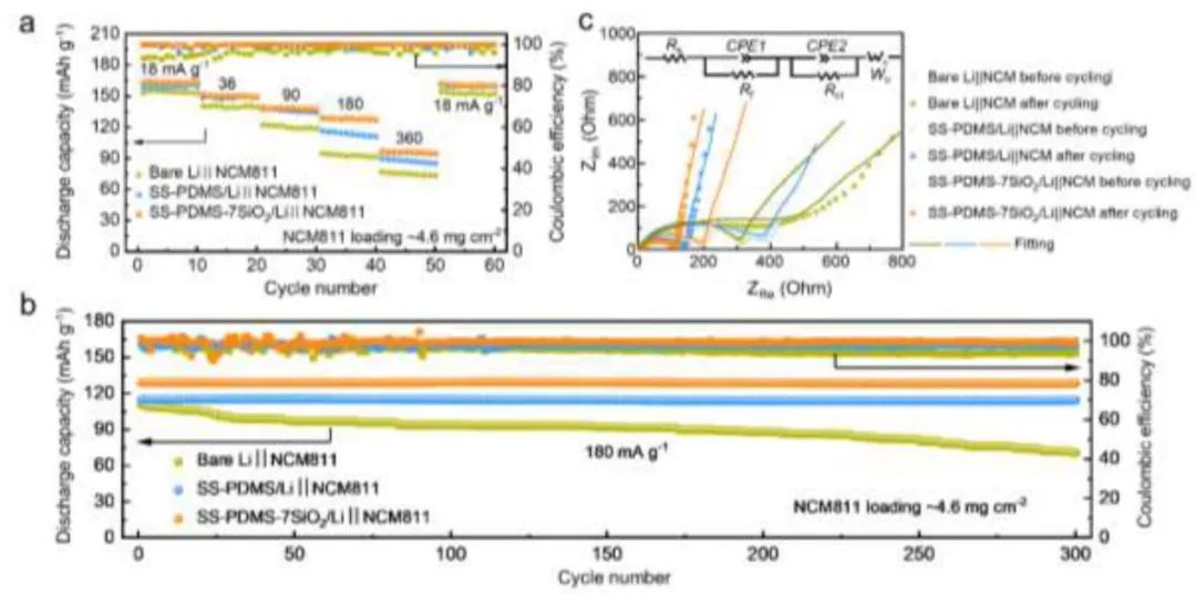 广西大学蒲雄Nano Energy：自修复单离子导电人工SEI稳定锂金属负极