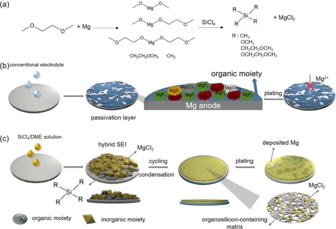 上硅所李驰麟EnSM: 耐用异质SEI实现传统电解液中的可逆镁金属负极