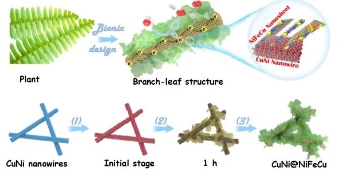 北化工程道建Appl. Catal. B.: 枝叶状CuNi@NiFeCu纳米枝晶用于高效电催化全分解水