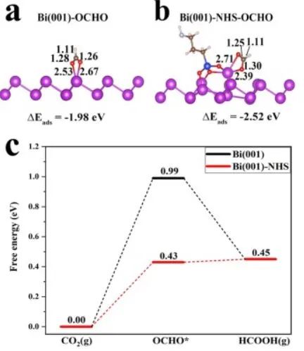 南大丁维平Appl. Catal. B.: 3-氨丙基三乙氧基硅烷修饰Bi纳米片用于高效稳定电催化CO2还原