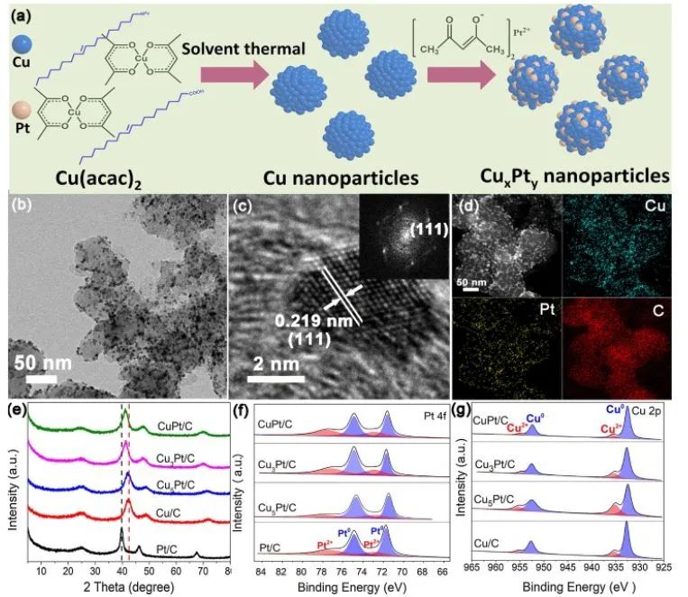 催化顶刊精选：Nature子刊、EnSM、Appl. Catal. B.、ACS Catal.等