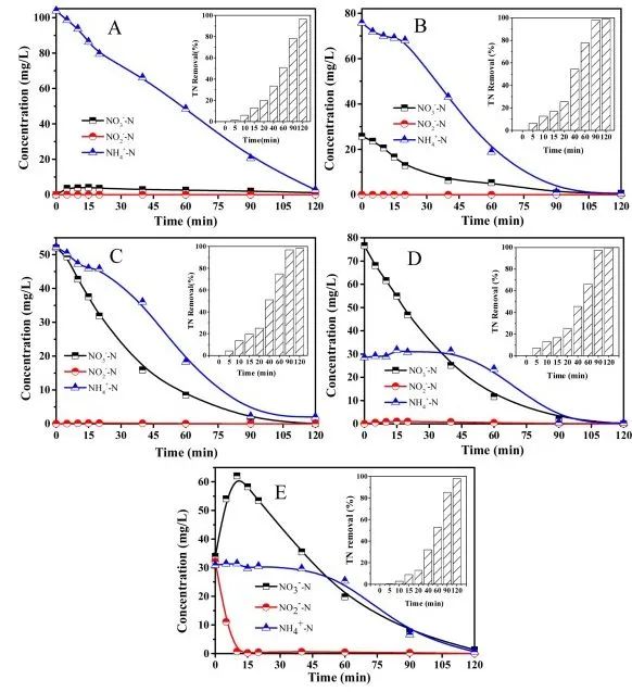 赵旭Appl. Catal. B.: 阴极表面还原性Fe(II)-Fe(III)氢氧化物辅助增强电催化硝酸盐选择性转化为N2