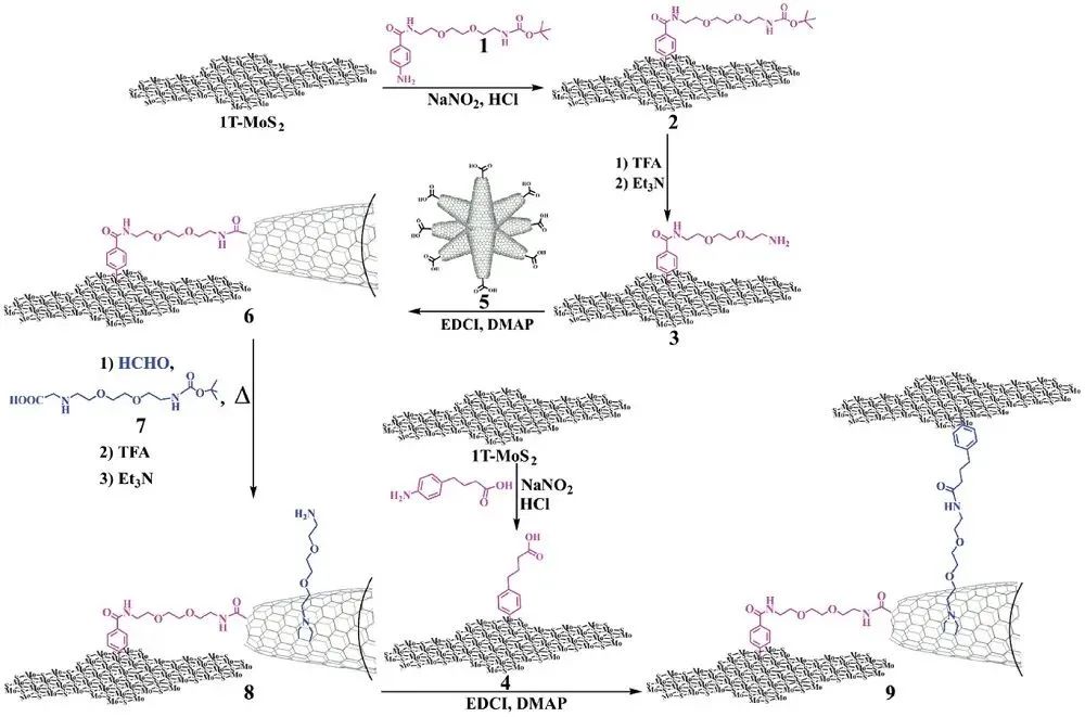 AFM：3D-2D CNH-MoS2异质结构的可控化学功能化及其对质子还原的电催化活性