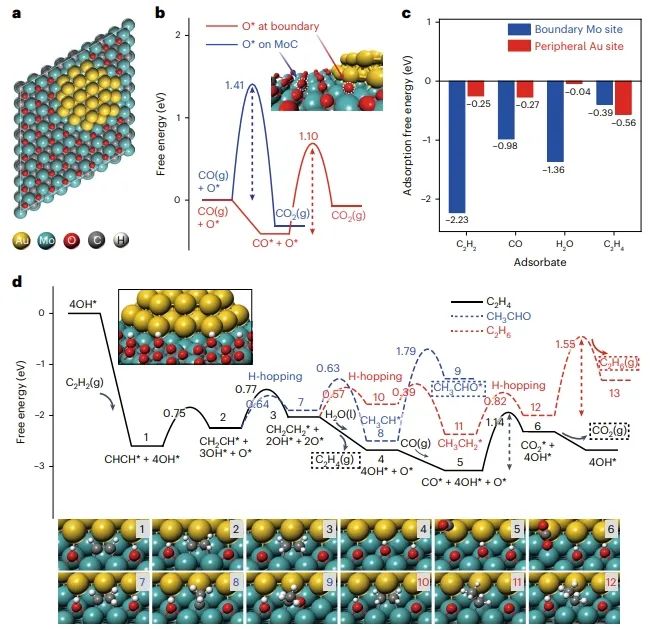 ​邓德会/于良Nature Catalysis：H2O作氢源，实现低温下Au/α-MoC催化乙炔加氢制乙烯