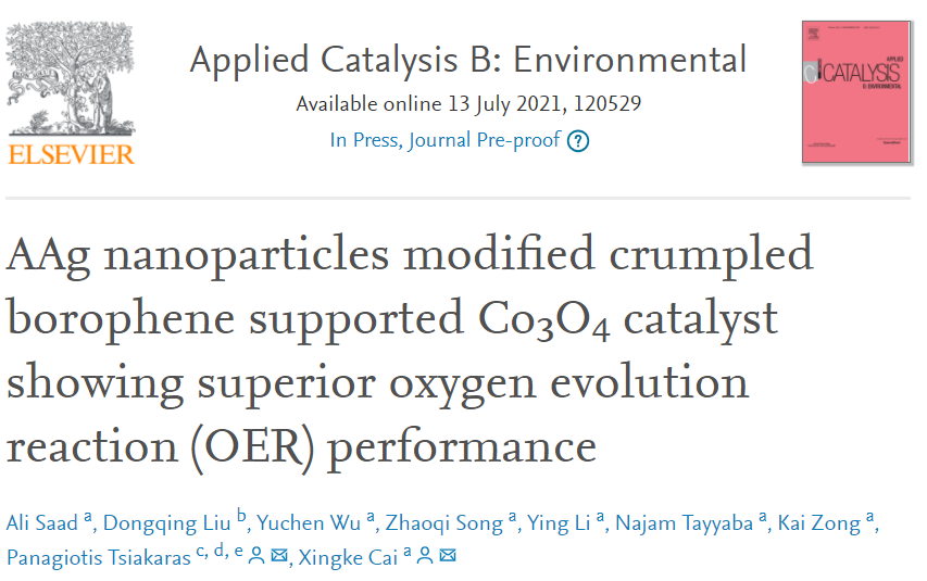 深大Appl. Catal. B.：Ag纳米粒子修饰硼烯负载Co3O4催化剂助力OER