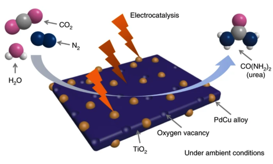 四个团队精诚合作！Nature Sustainability：电合成尿素大突破，新方法实现高产量！
