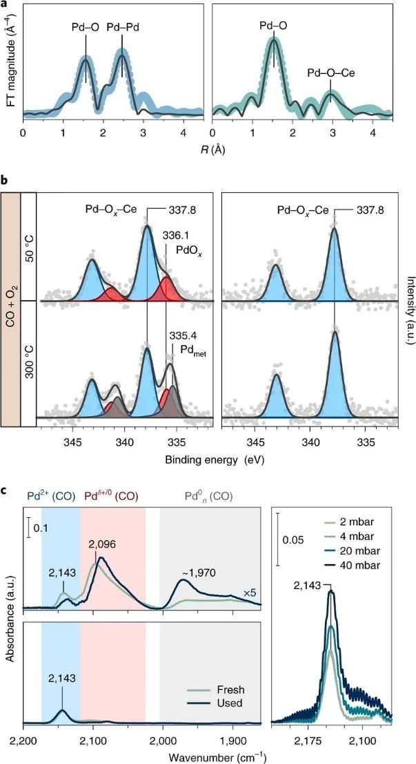 单原子催化领域，再获一篇Nature Catalysis！