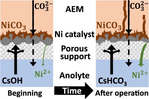 ACS Energy Lett.：局部化学环境控制CO2电解槽中的阳极过程