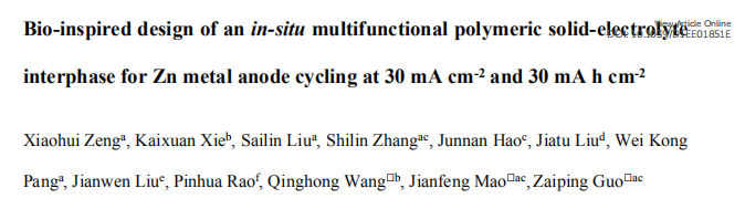 郭再萍/王庆红/毛建峰EES：用于Zn负极循环的原位多功能聚合物SEI的仿生设计