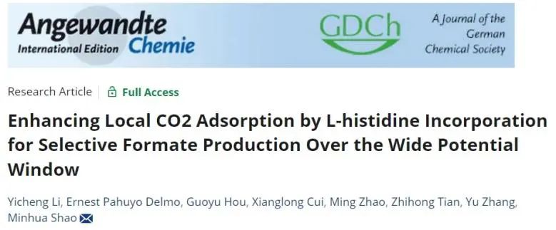 ​邵敏华/张玉Angew：L-组氨酸强化局部CO2吸附，增强CO2电还原为甲酸盐的选择性