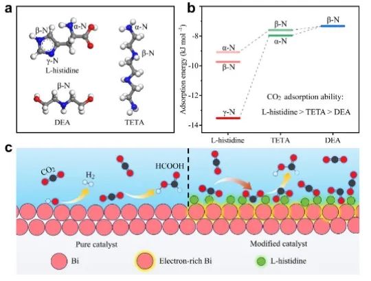 ​邵敏华/张玉Angew：L-组氨酸强化局部CO2吸附，增强CO2电还原为甲酸盐的选择性
