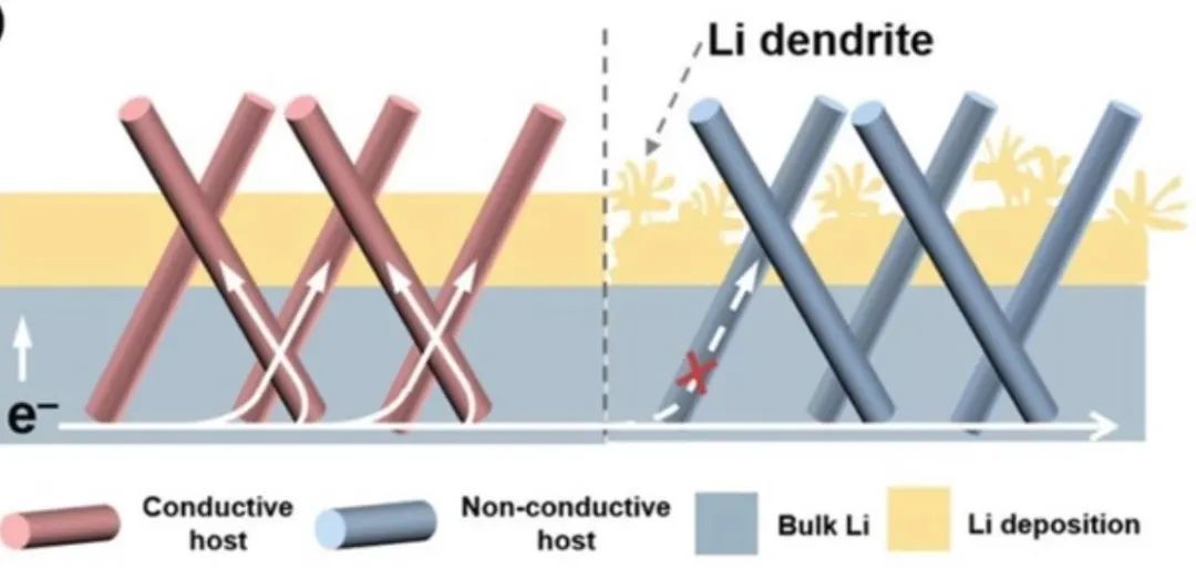 北理黄佳琦AEM: 解读主体材料电导率对复合锂金属负极锂沉积的影响