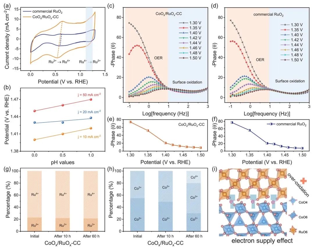 八篇催化顶刊：AM、AFM、EES、ACS Nano、Small、Appl. Catal. B等成果