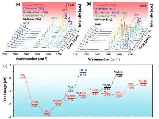 Adv. Sci.：多孔Al2O3负载Ir−CoO活性中心，实现高效持久光热催化CO2转化