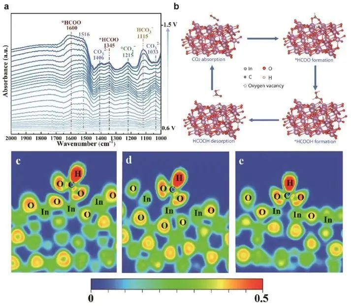 催化顶刊集锦：Nature子刊.、Angew.、JACS、ACS Catalysis、AFM、Small等成果