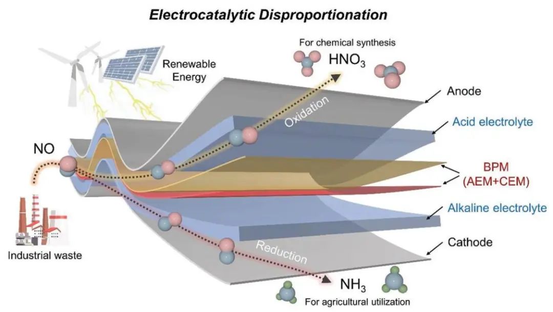 ​浙大AEM：NO电催化歧化实现高效固氮