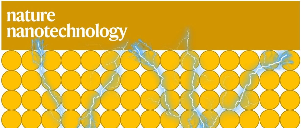 Nature Nanotechnology官方:请多投稿这类文章! - 华算科技