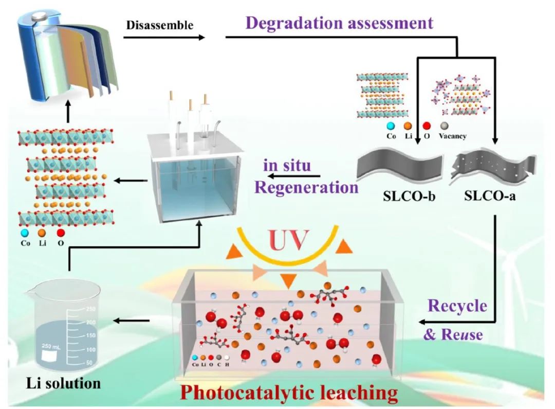 ​北理李丽ACS Energy Lett.：光催化辅助策略实现废旧锂离子电池高效回收