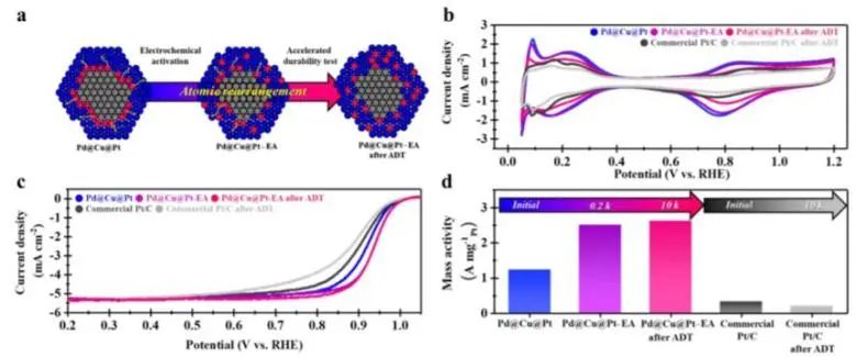 8篇催化顶刊：Angew.、AFM、Small、Chem. Eng. J.、ACS Catal.等最新成果