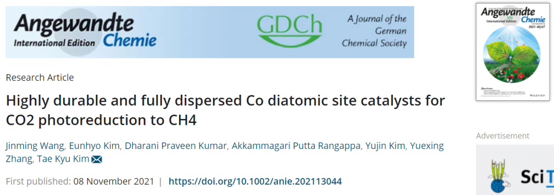 延世大学/湖北大学Angew.：首次报道！高度耐用且完全分散的双Co原子位点催化剂助力CO2光还原为CH4