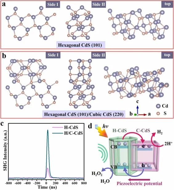 丁勇/郝维昌/吴量Nano Energy：H/C-CdS首次应用！相结诱导的宏观极化增强CdS压电光催化HER