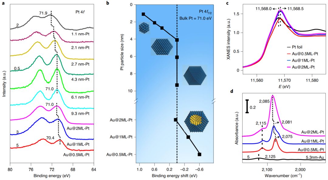 路军岭/李微雪Nature Catalysis，双金属单层催化剂，绝了！