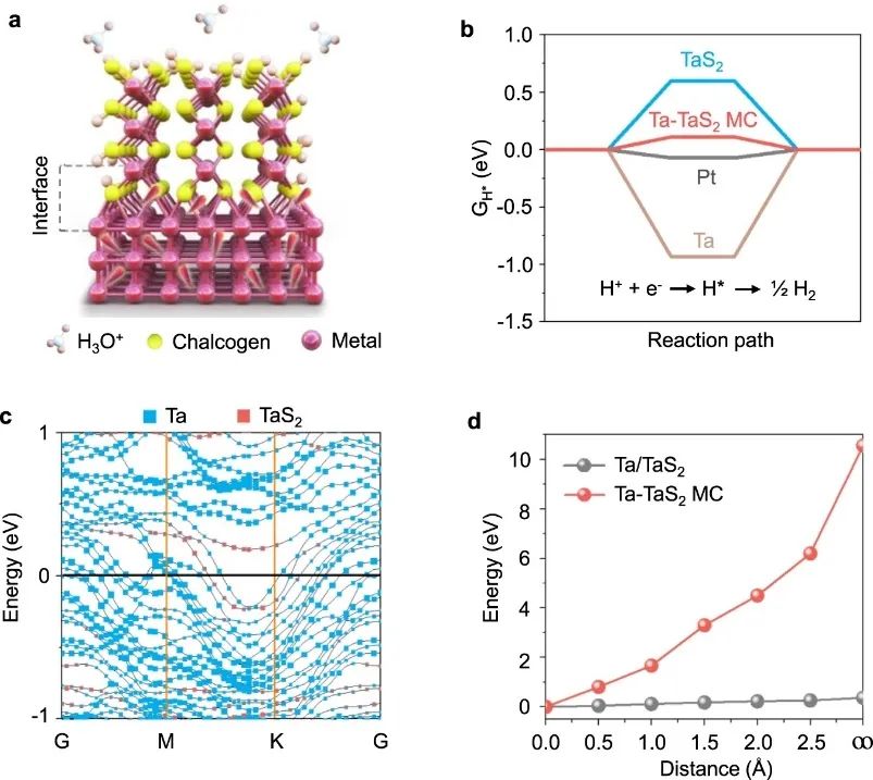 刘碧录&孙成华Nature子刊：超高电流密度下，Ta-TaS2 MC高效HER